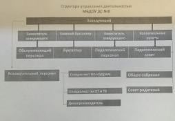 Структура управления МБДОУ ДС №8